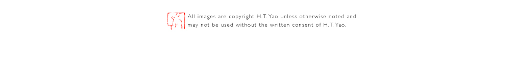 all images are copyright H.T. Yao unless otherwise noted